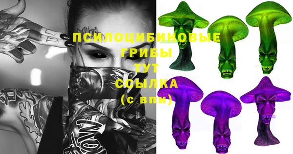 гидропоника Алексин